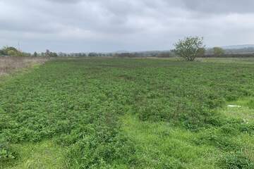 Ведение садоводства, 20 сот.